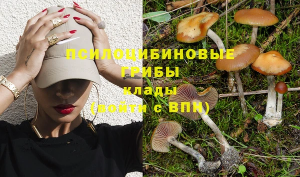 прущая мука Алзамай
