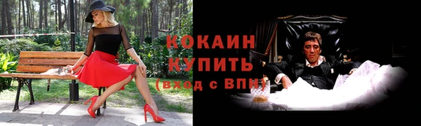 шишки Абинск