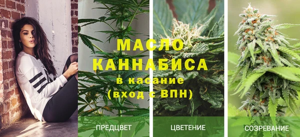 шишки Абинск