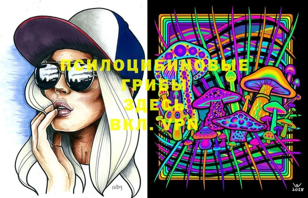 шишки Абинск