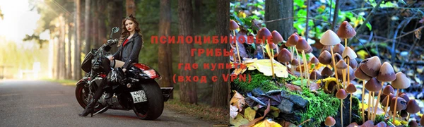 шишки Абинск